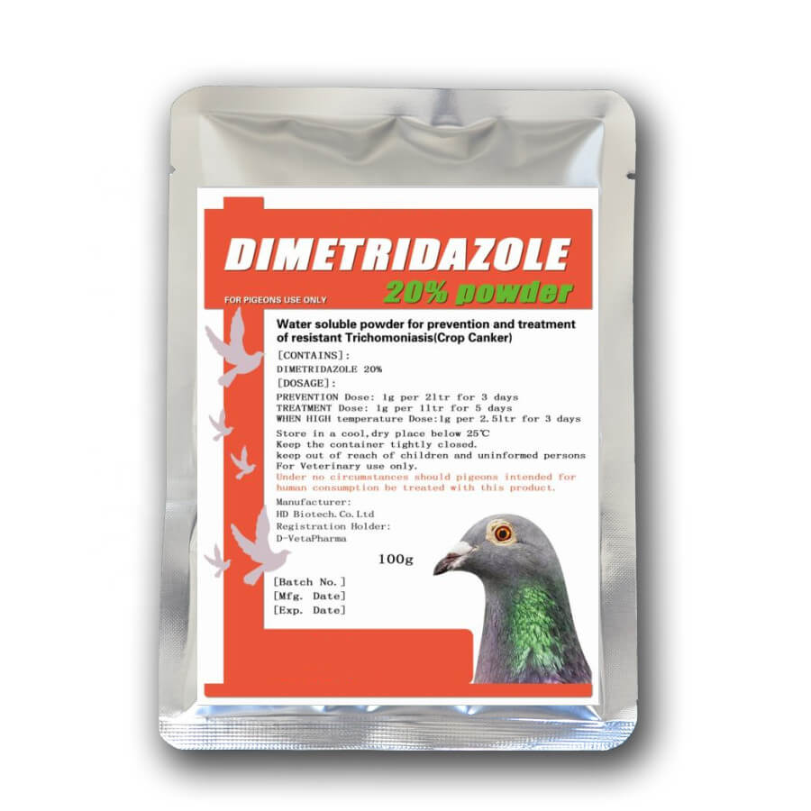 Dimetridazole Powder