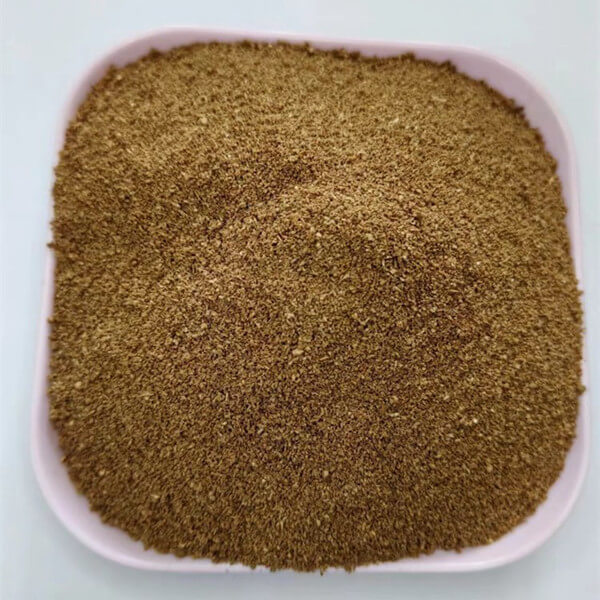 Dandelion extract